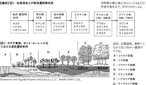 一次遷移|一次遷移 (イチジセンイ)とは？ 意味や使い方